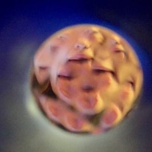 Meet your Posher, Frannie